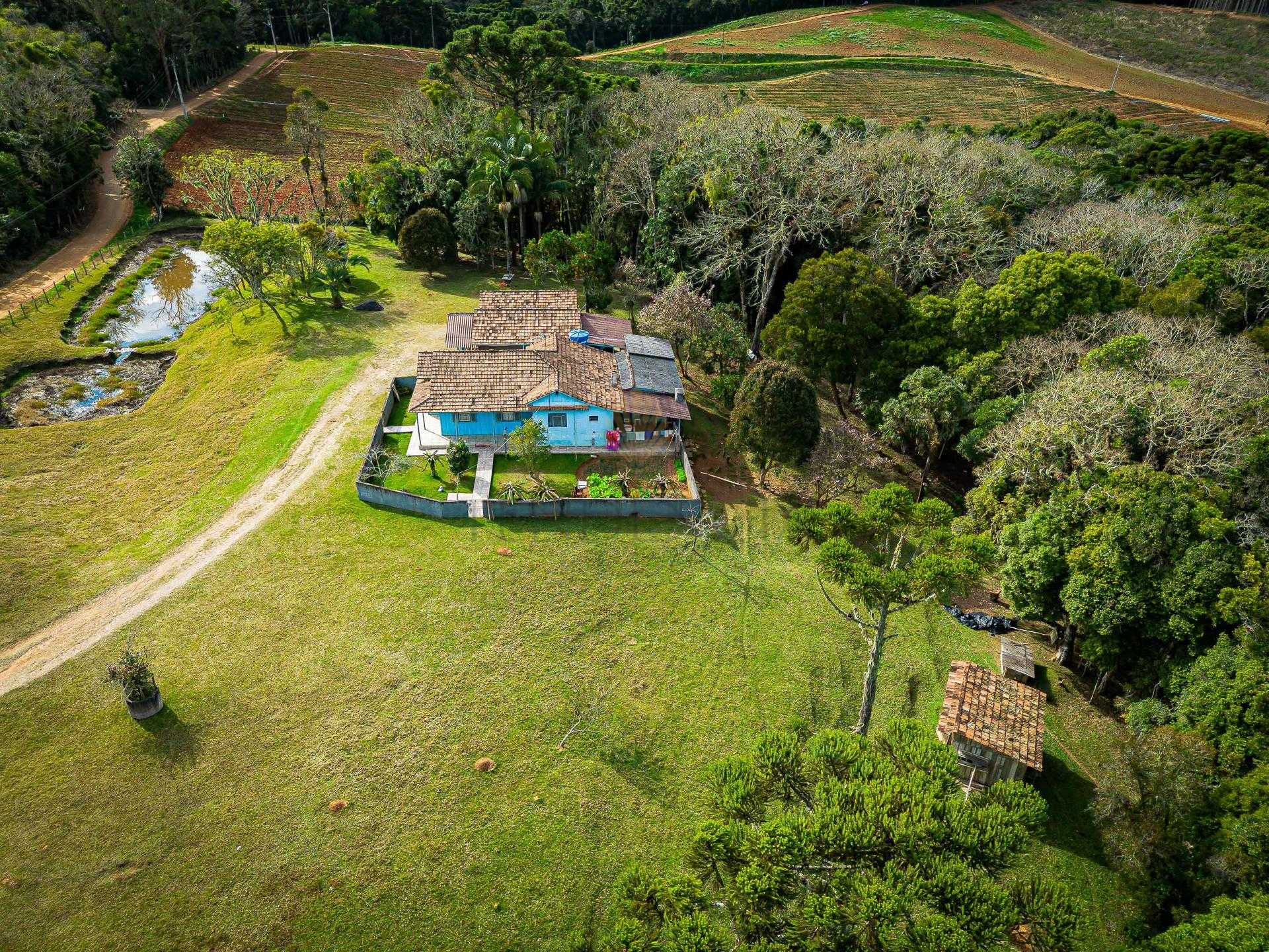 Chácara à venda, 72.600 m2, Roça Velha, SÃO JOSÉ DOS PINHAIS - PR