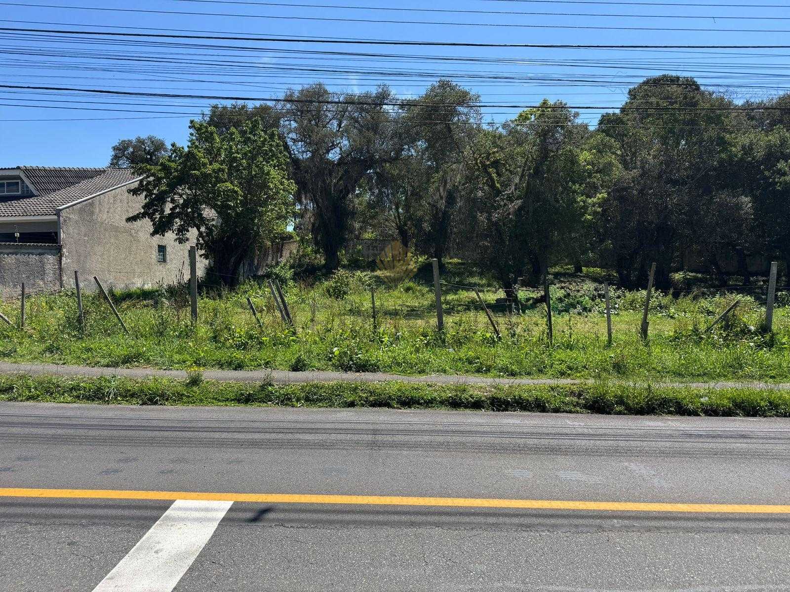 Terreno à venda,724.62 m2 SÃO BRAZ, CURITIBA - PR