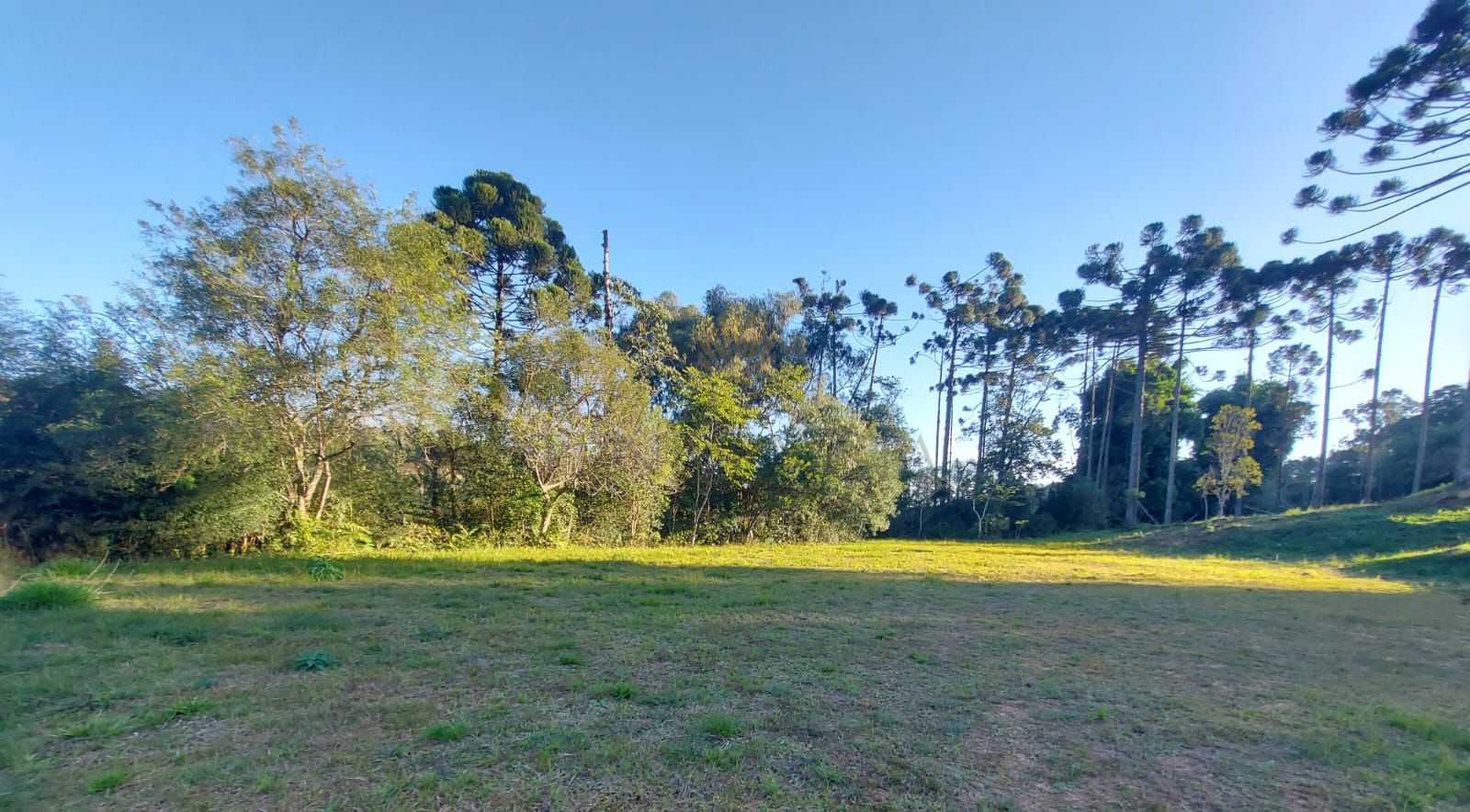 Terreno à venda, 1.060 m2 por R  559.000,00 - Rondinha - Campo...