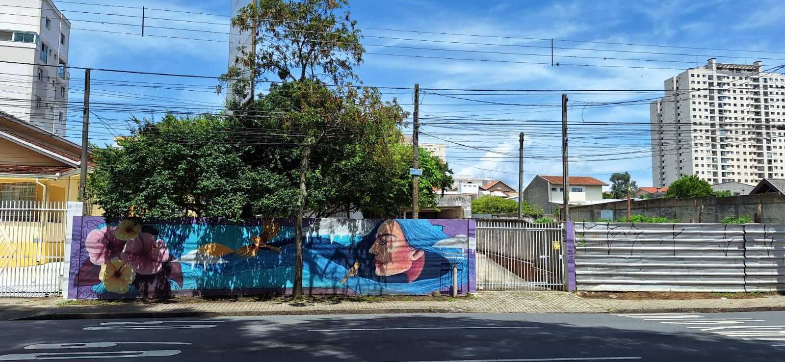 Terreno à venda, 693 m2, Capão Raso - Curitiba PR