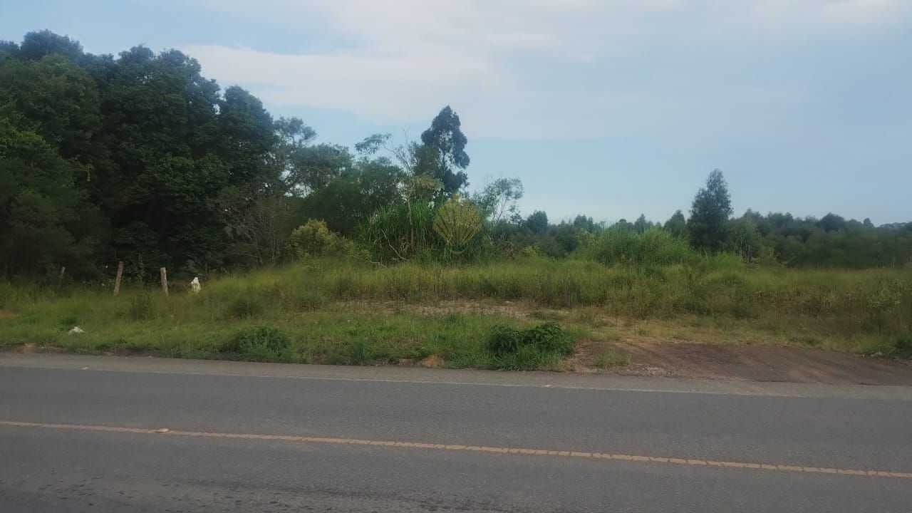 Terreno ? venda, 29.040 m2, SAO JOSE DOS PINHAIS - PR