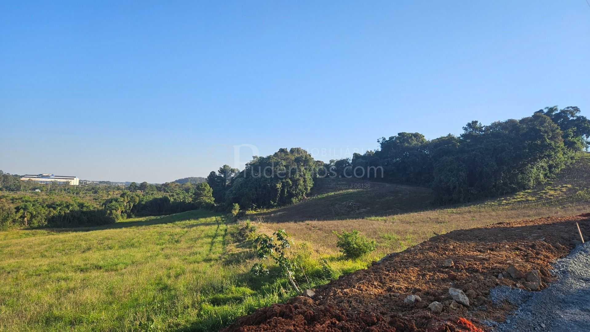 Área Industrial em Araucária  73.306m  Frente PR-423 com Poten...