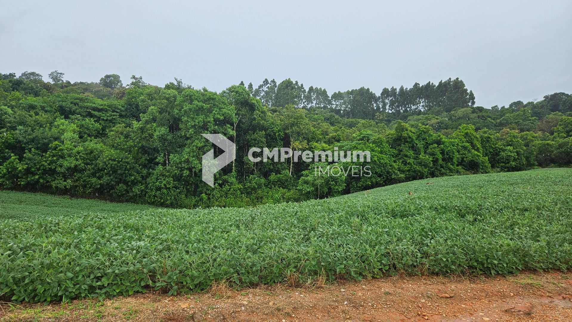 Área de 79.000 m  com 41.000 m  mecanizados  perfeita para cul...