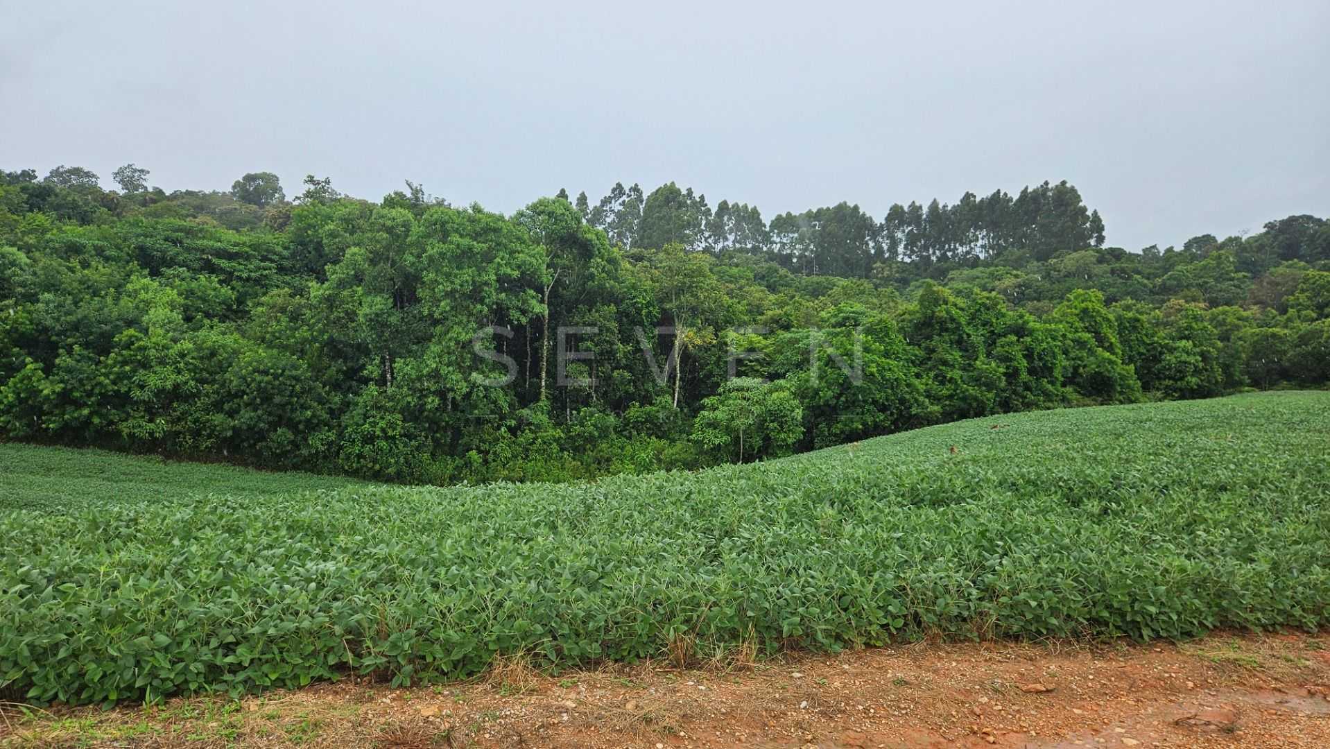 Área de 79.000 m  com 41.000 m  mecanizados  perfeita para cul...