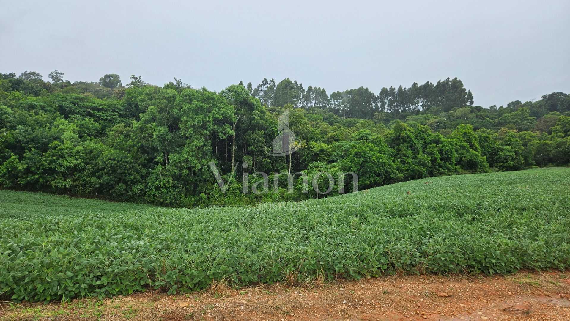 Área de 79.000 m  com 41.000 m  mecanizados  perfeita para cul...