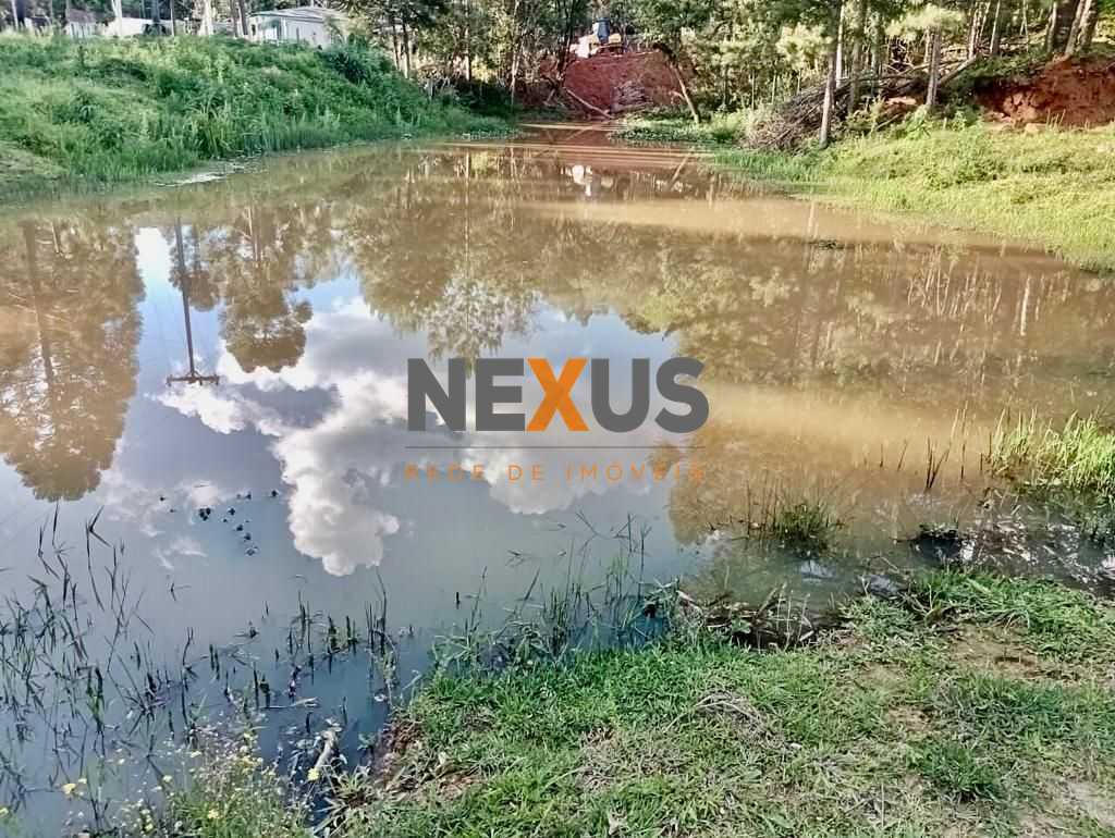 Chácara de 22.290m  em Campo Largo  Refúgio no Campo com Fácil...