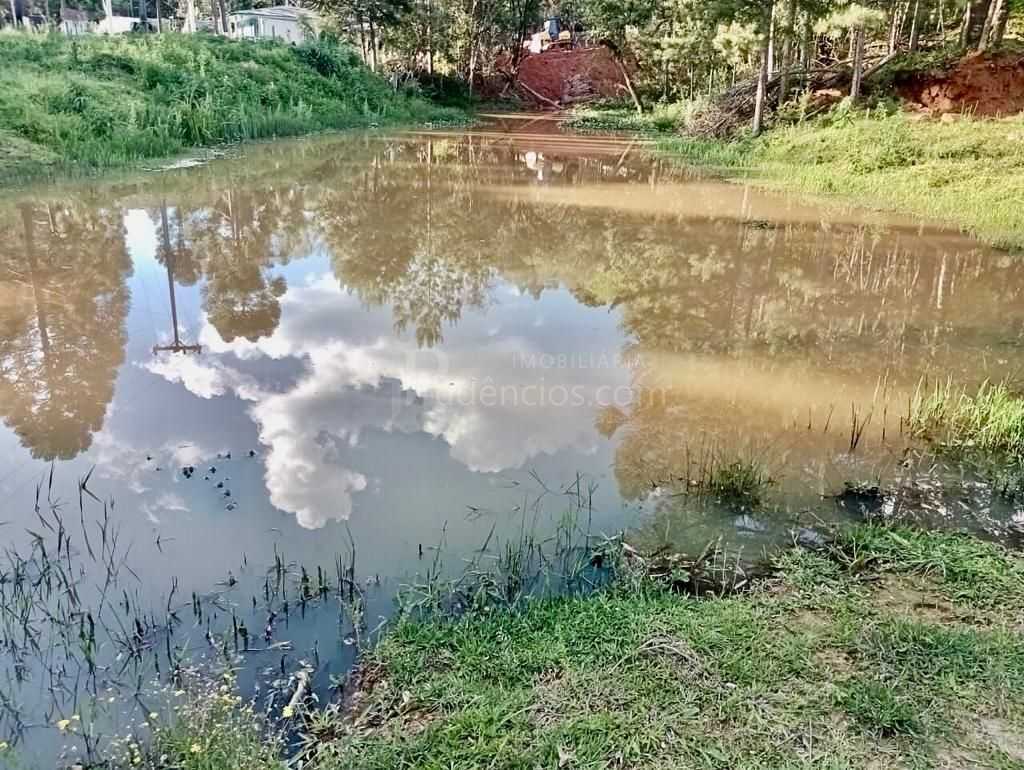 Chácara de 22.290m  em Campo Largo  Refúgio no Campo com Fácil...