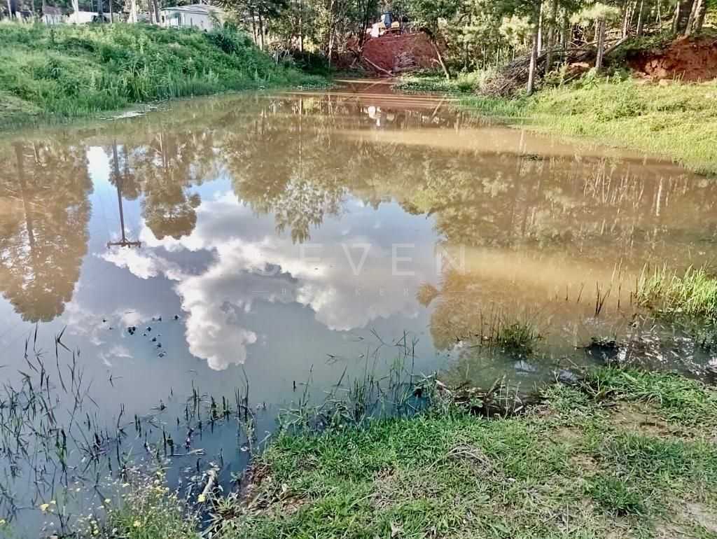 Chácara de 22.290m  em Campo Largo  Refúgio no Campo com Fácil...
