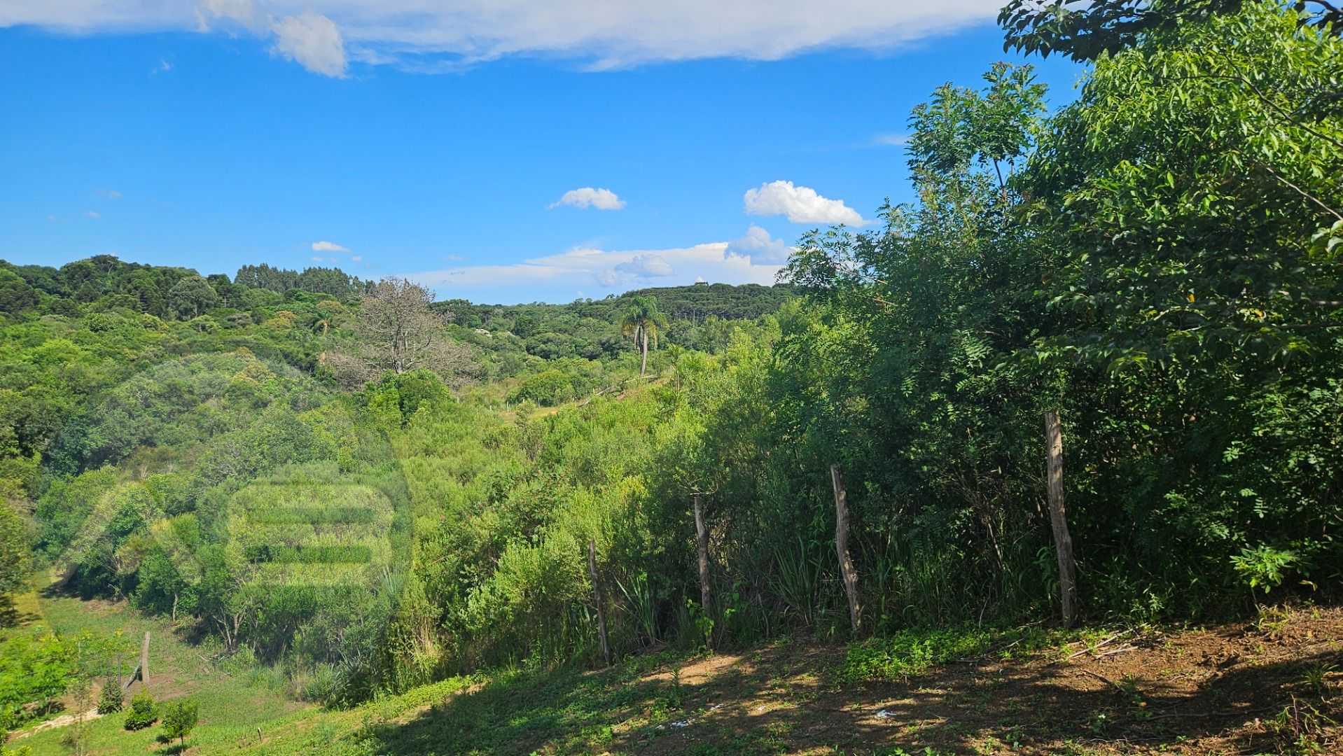 ?rea de 7.000m  em Contenda  Ref?gio com Bosque, C?rrego e Nat...