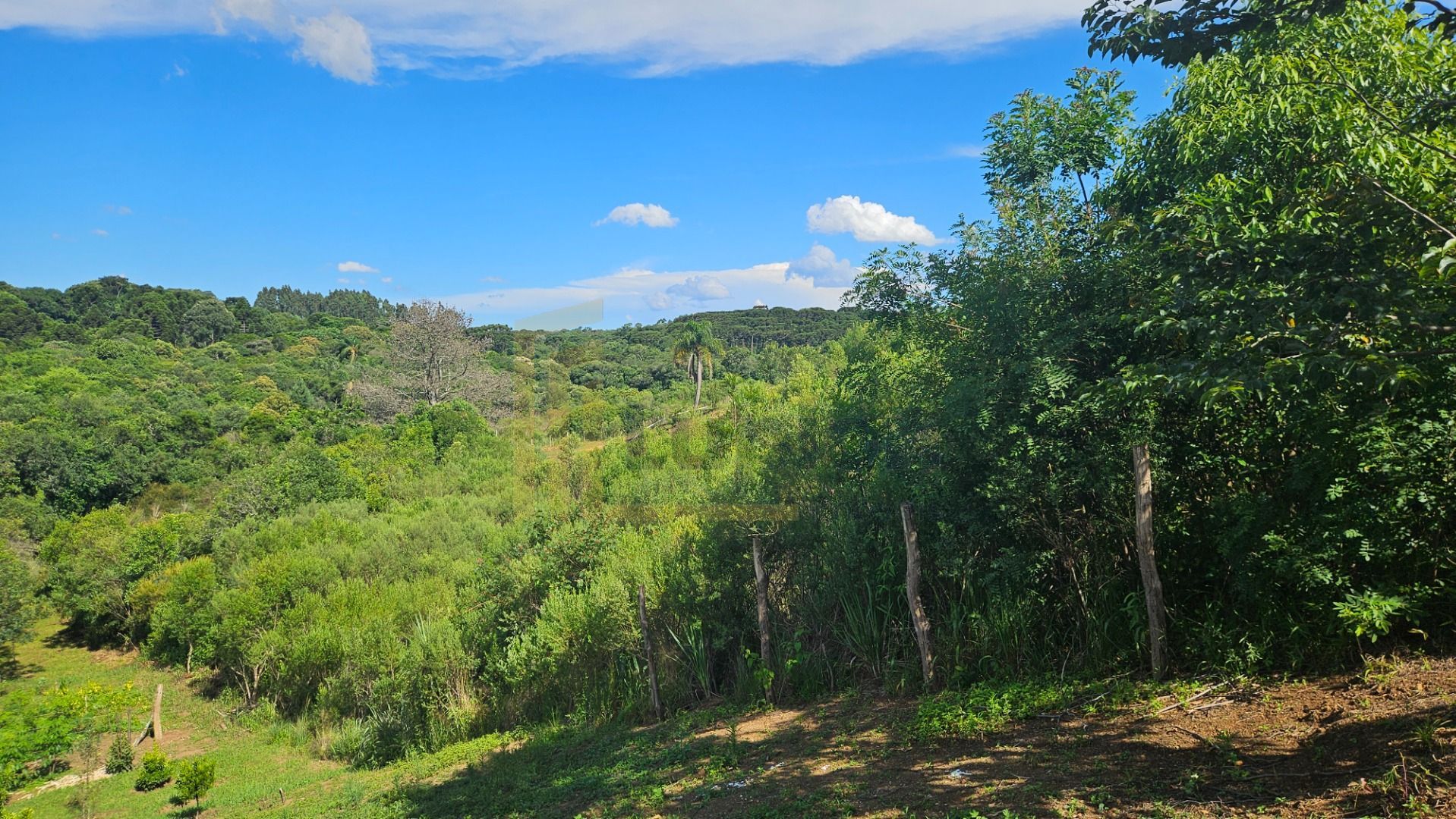 Área de 7.000m  em Contenda  Refúgio com Bosque, Córrego e Nat...