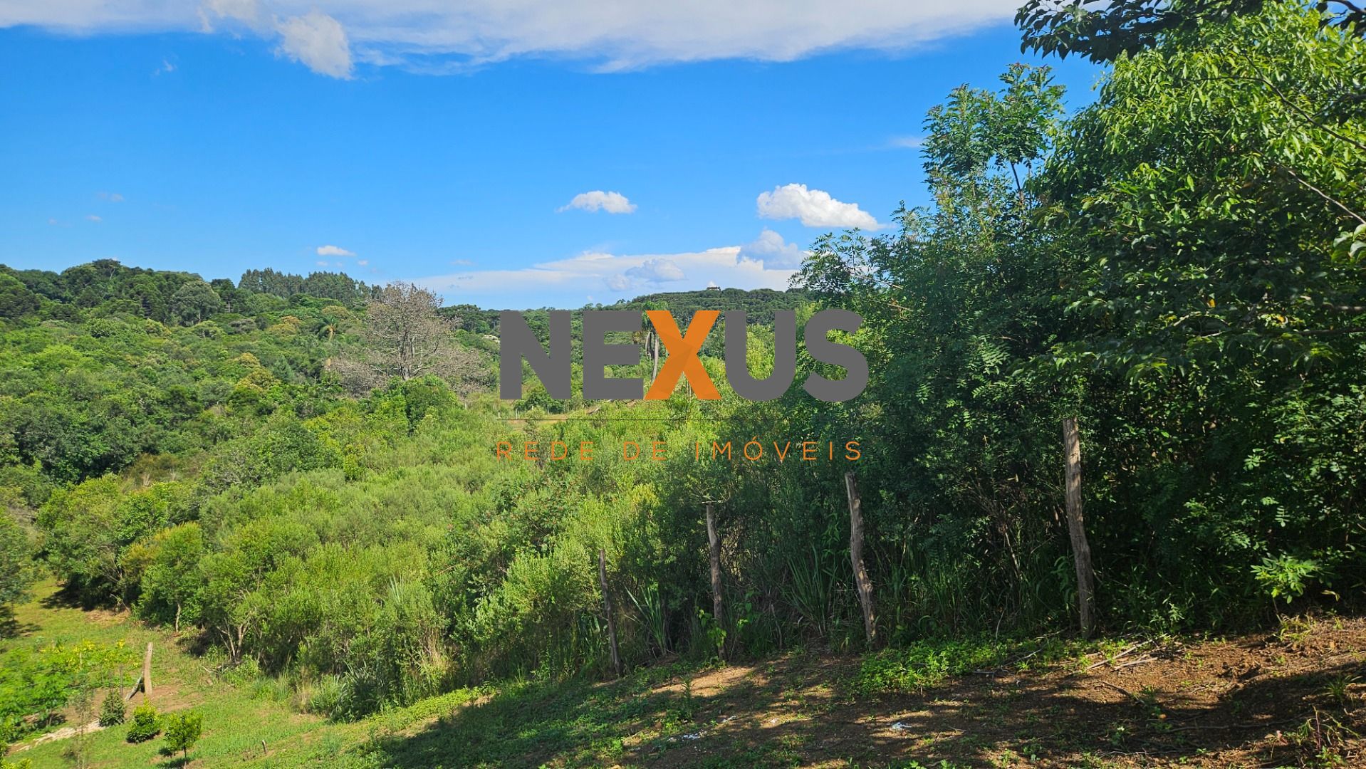 Área de 7.000m  em Contenda  Refúgio com Bosque, Córrego e Nat...