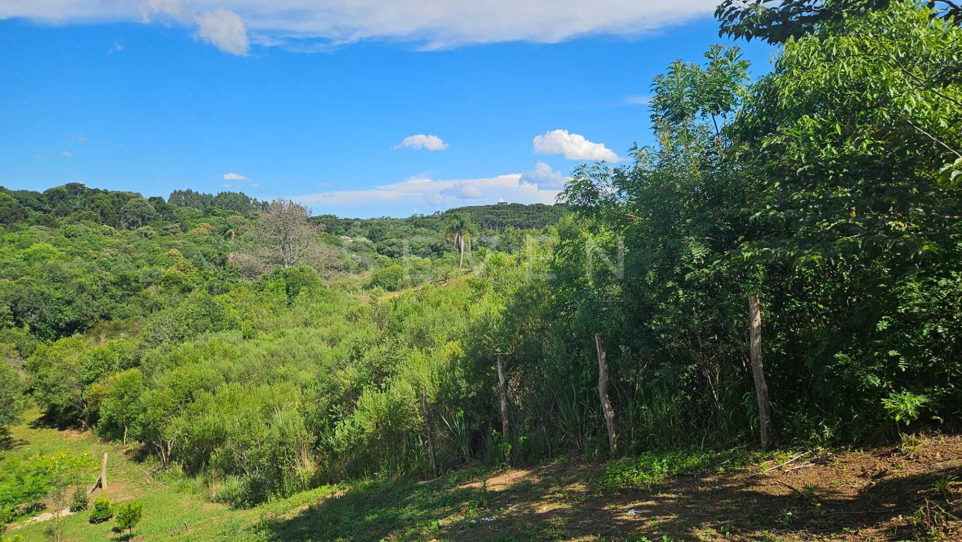 Área de 7.000m  em Contenda  Refúgio com Bosque, Córrego e Nat...