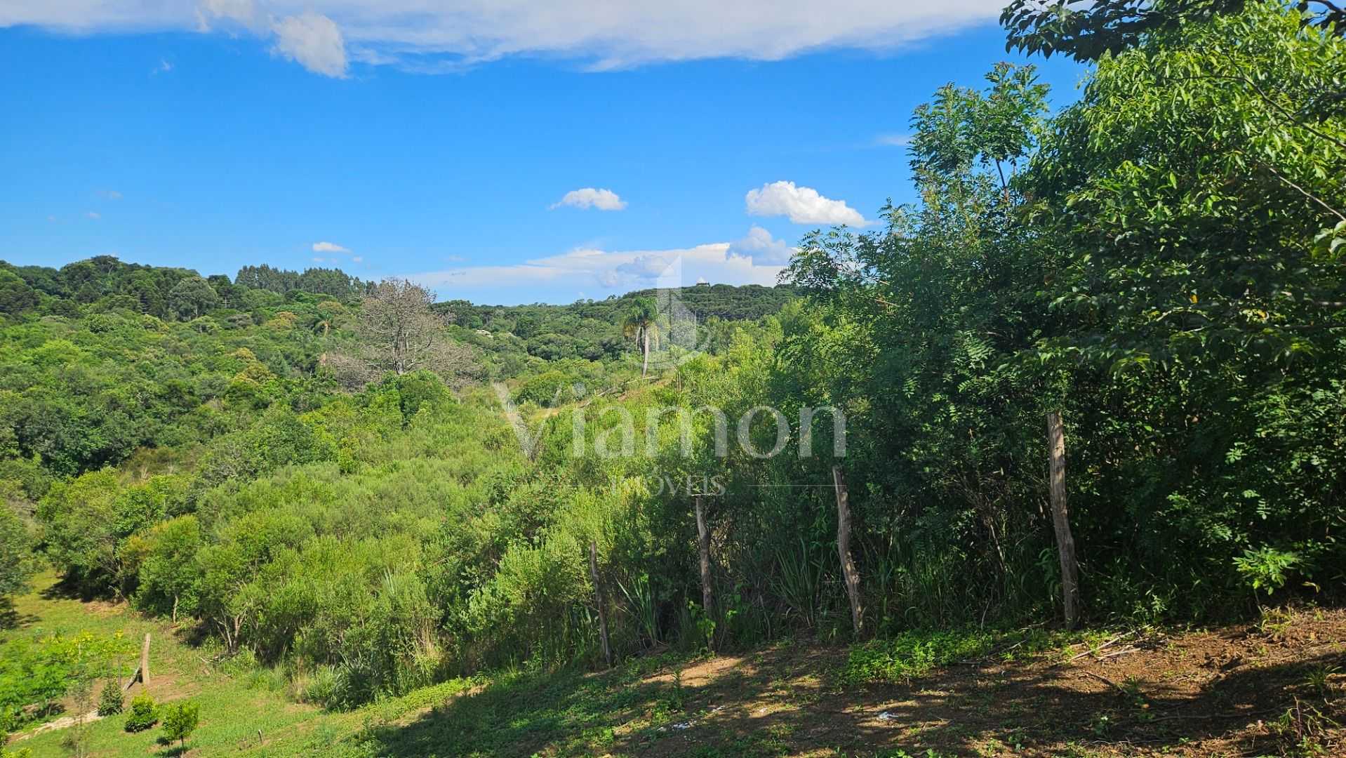 Área de 7.000m  em Contenda  Refúgio com Bosque, Córrego e Nat...