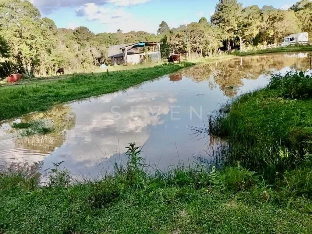 Chácara de 22.290m  em Campo Largo  Refúgio no Campo com Fácil...