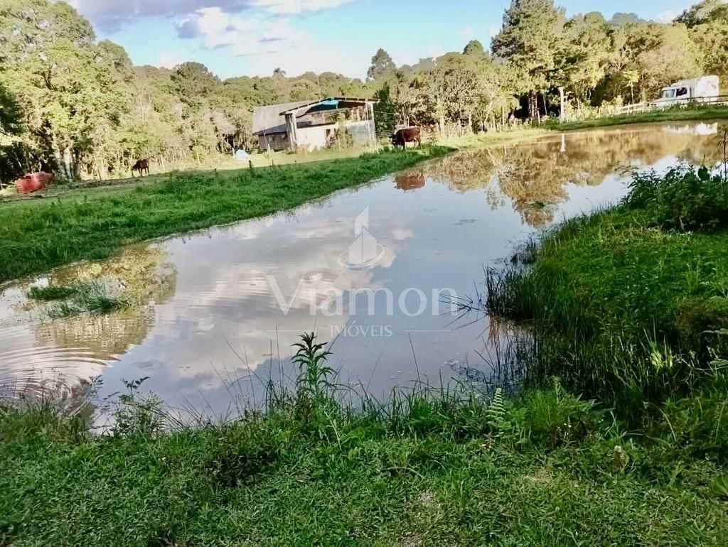 Chácara de 22.290m  em Campo Largo  Refúgio no Campo com Fácil...