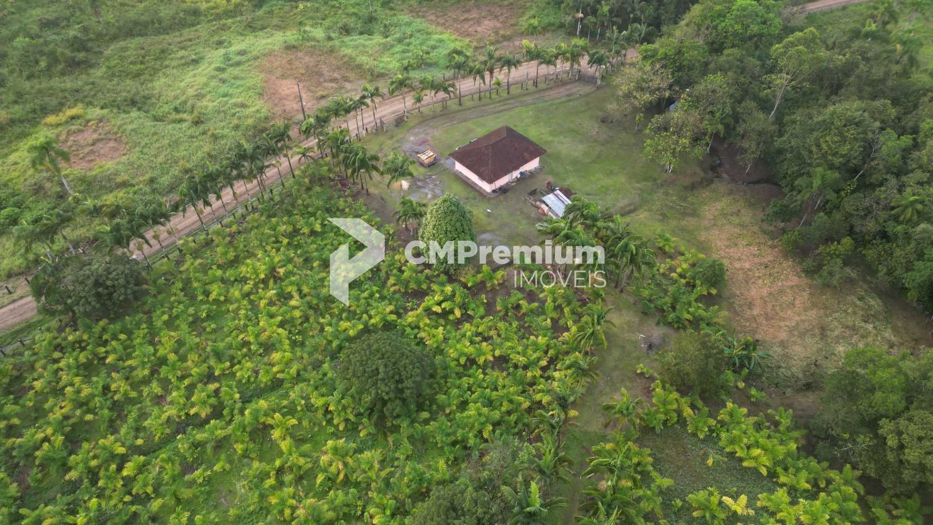 Área Rural à Venda em Guaraqueçaba  38,80 ha, 14 alqueires de ...