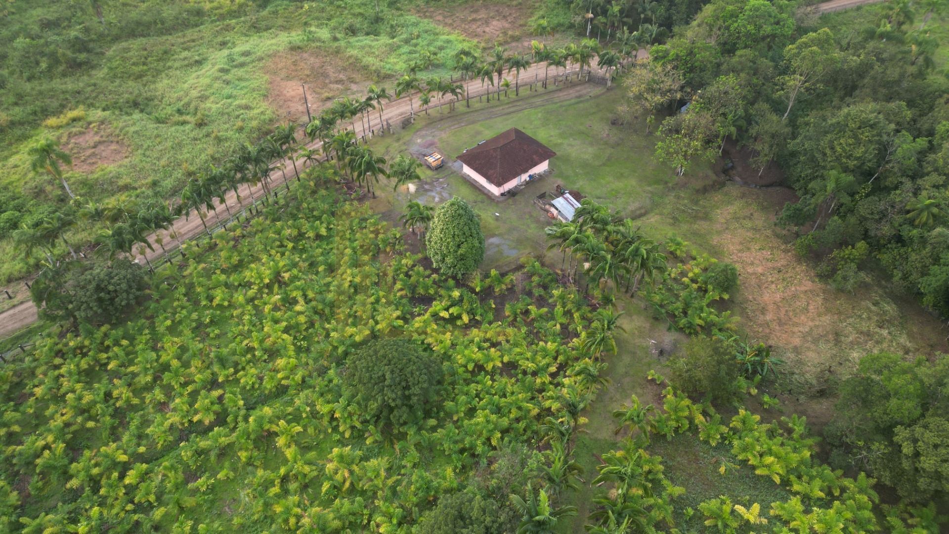 Oportunidade em Guaraqueçaba  Área Rural com 38,80 ha, Renda S...