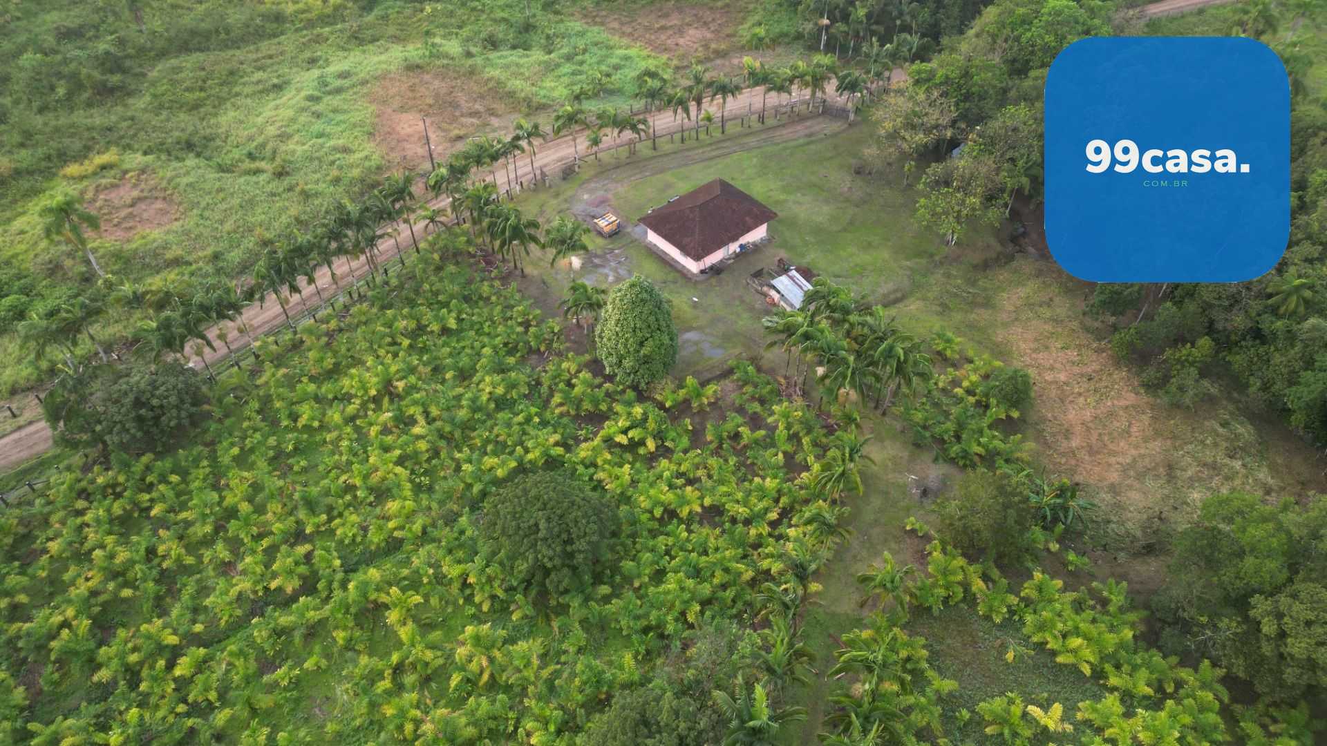 Oportunidade em Guaraqueçaba  Área Rural com 38,80 ha, 16 alq,...