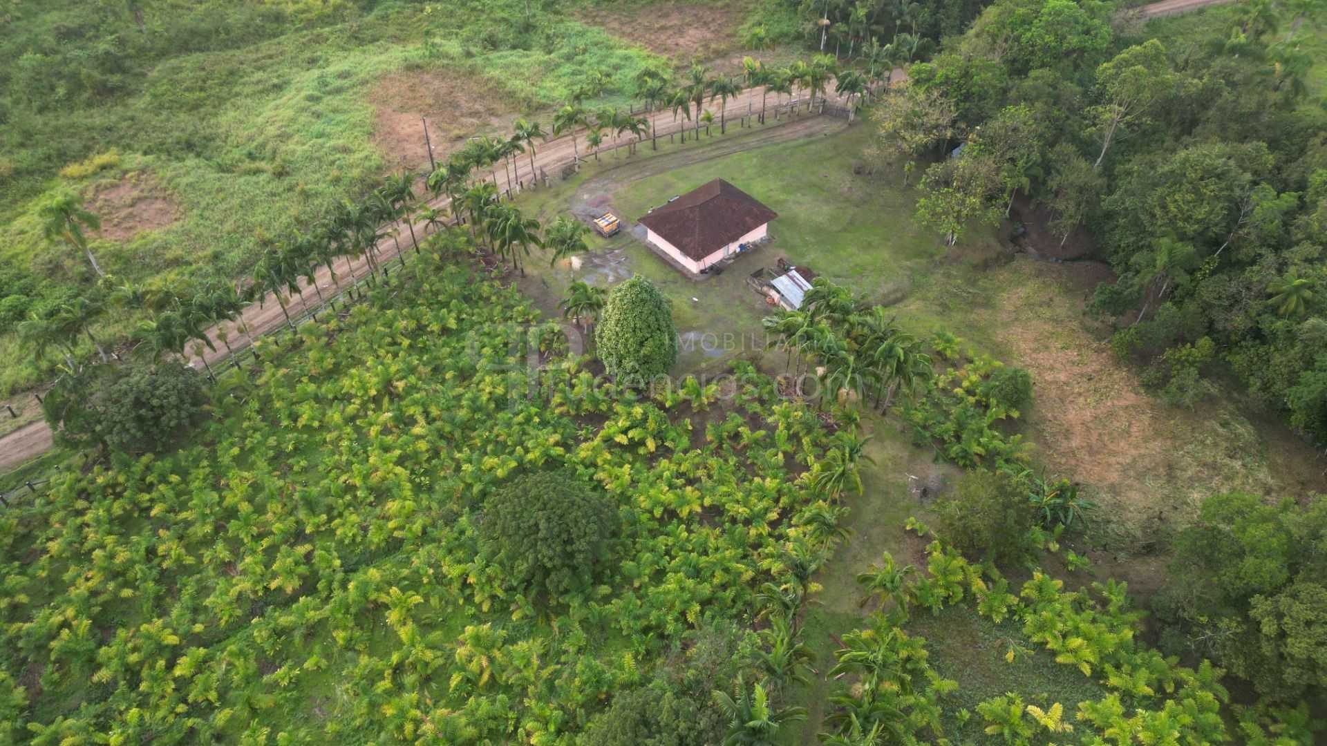 Oportunidade em Guaraqueçaba  Área Rural com 38,80 ha, Renda S...