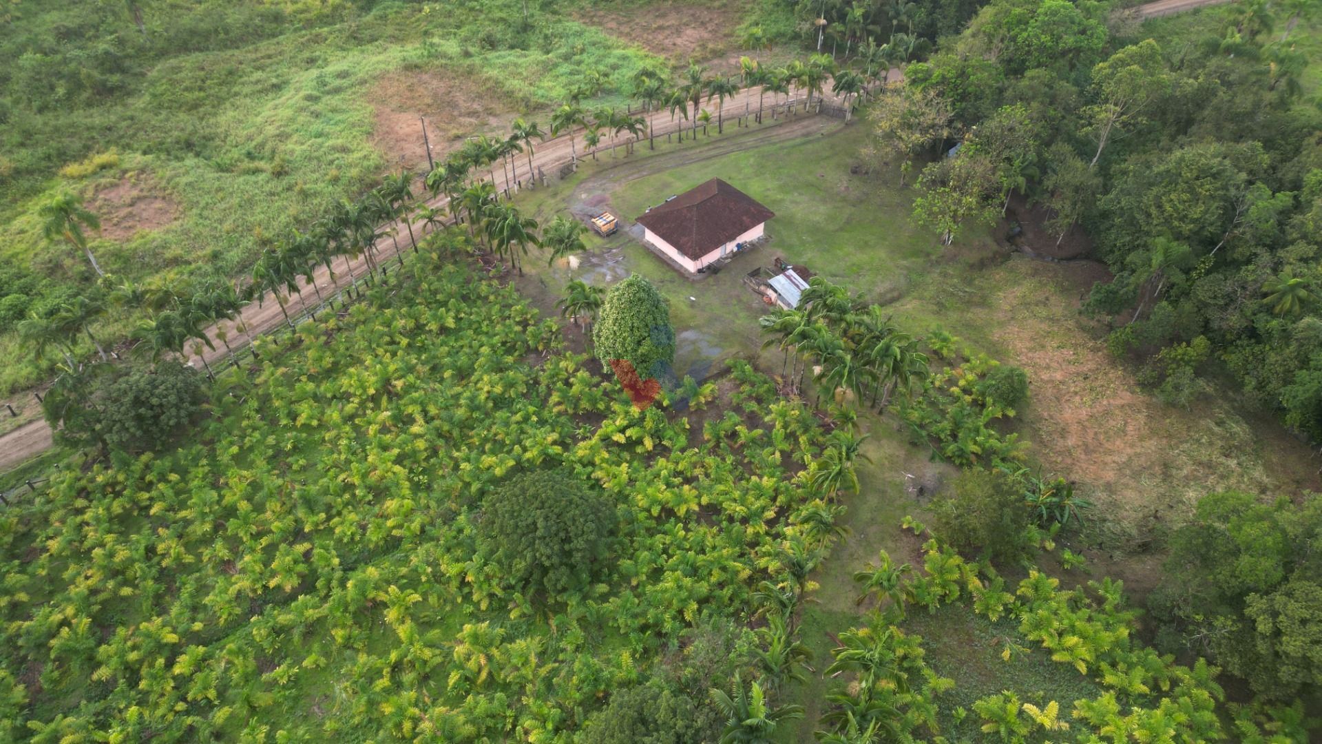 Oportunidade em Guaraqueçaba  Área Rural com 38,80 ha, Renda S...