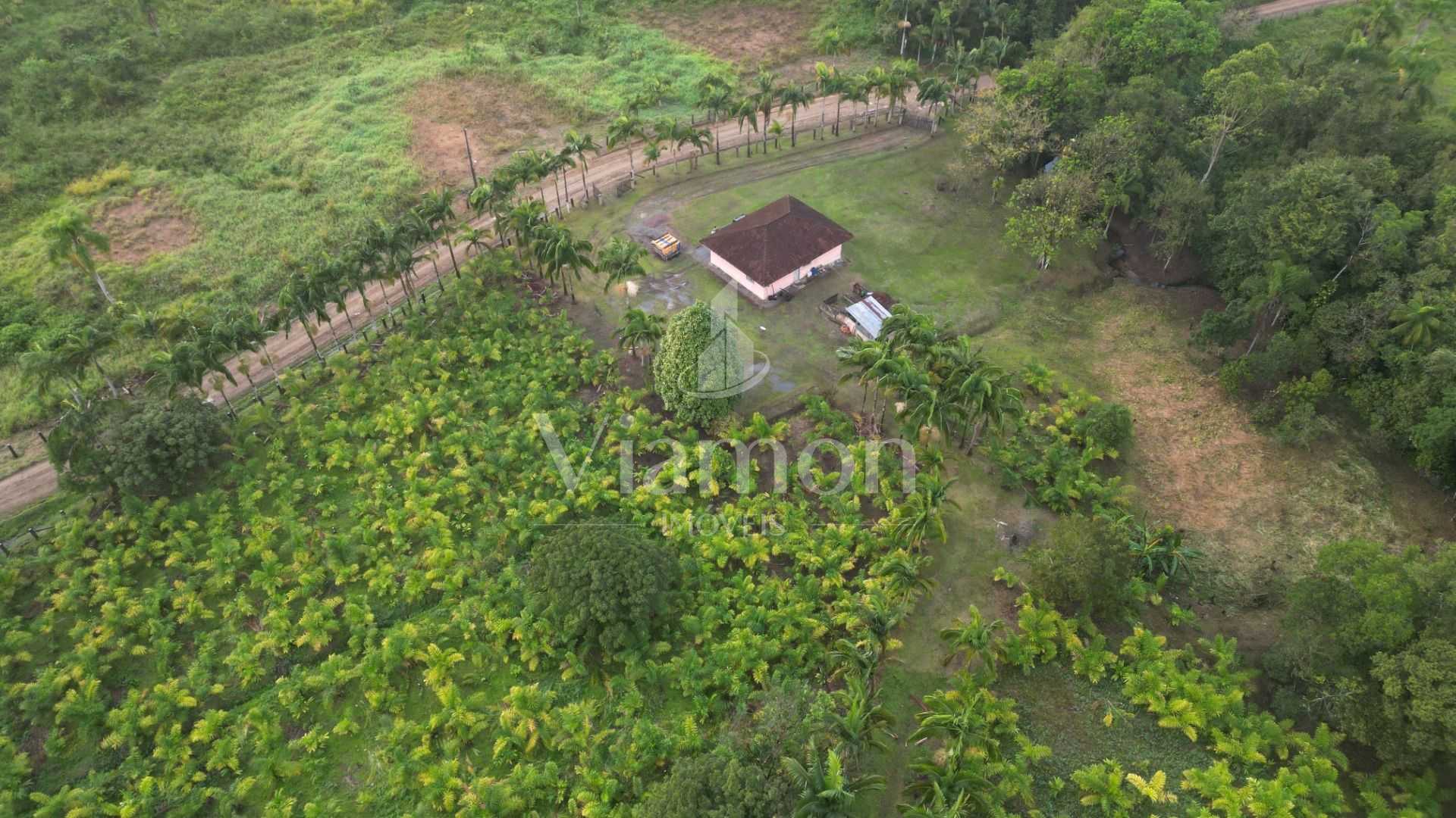 Área Rural à Venda em Guaraqueçaba  38,80 ha, 14 alqueires de ...