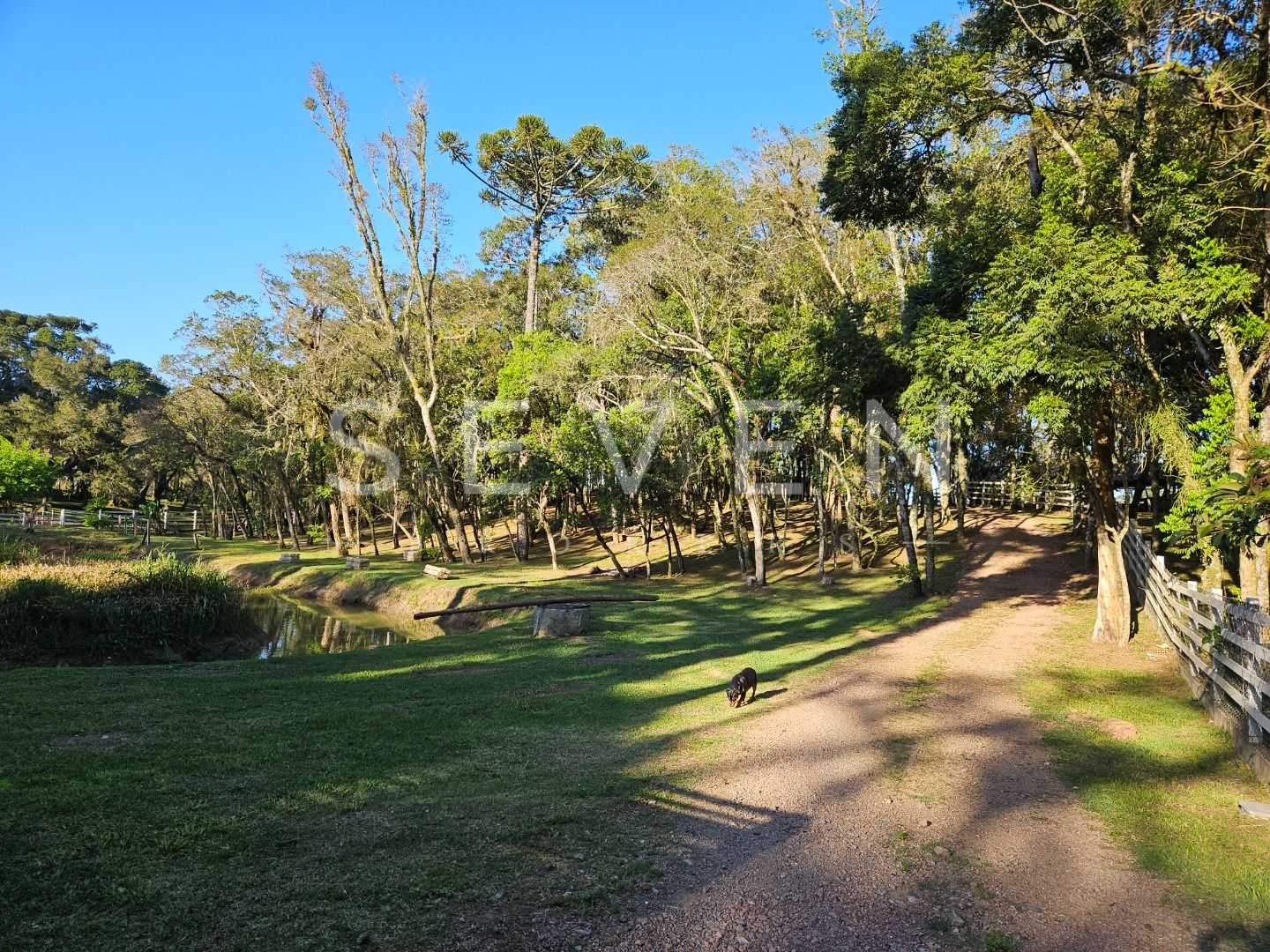 Chácara dos Sonhos em São José dos Pinhais  Natureza, Lazer e ...