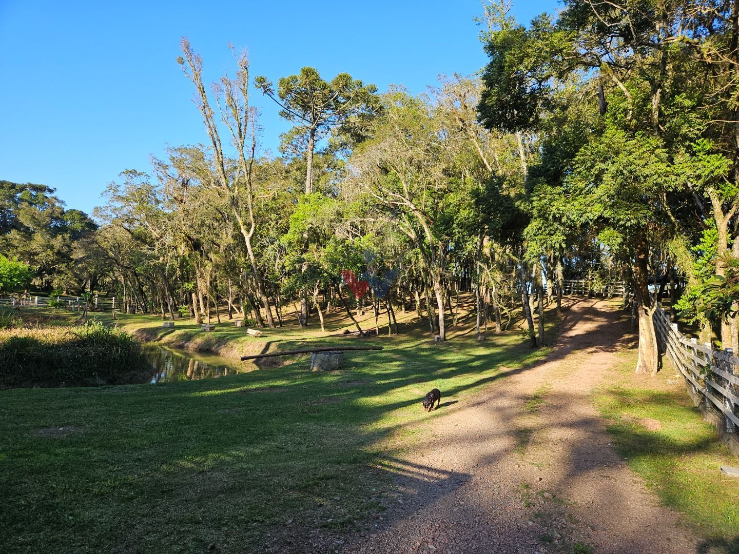 Chácara dos Sonhos em São José dos Pinhais  Natureza, Lazer e ...