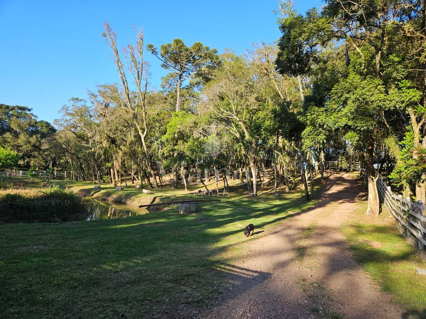 Chácara dos Sonhos em São José dos Pinhais  Natureza, Lazer e ...