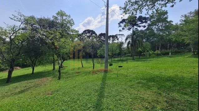 Sítio em Quatro Barras  150.000 m  com casas, pomar, campo e m...