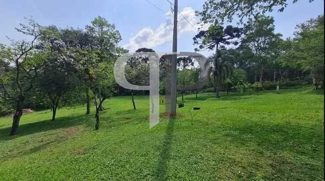 Sítio em Quatro Barras  150.000 m  com casas, pomar, campo e m...