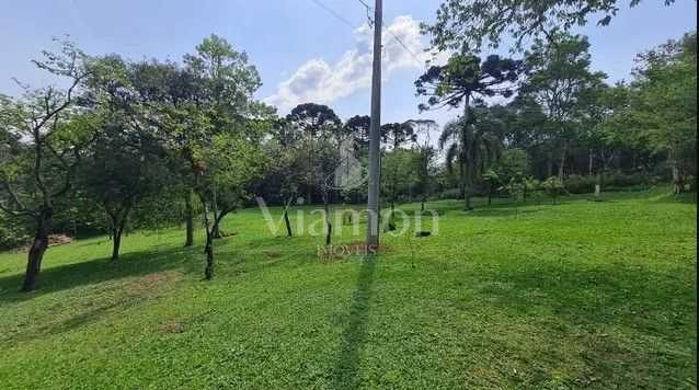 Sítio em Quatro Barras  150.000 m  com casas, pomar, campo e m...