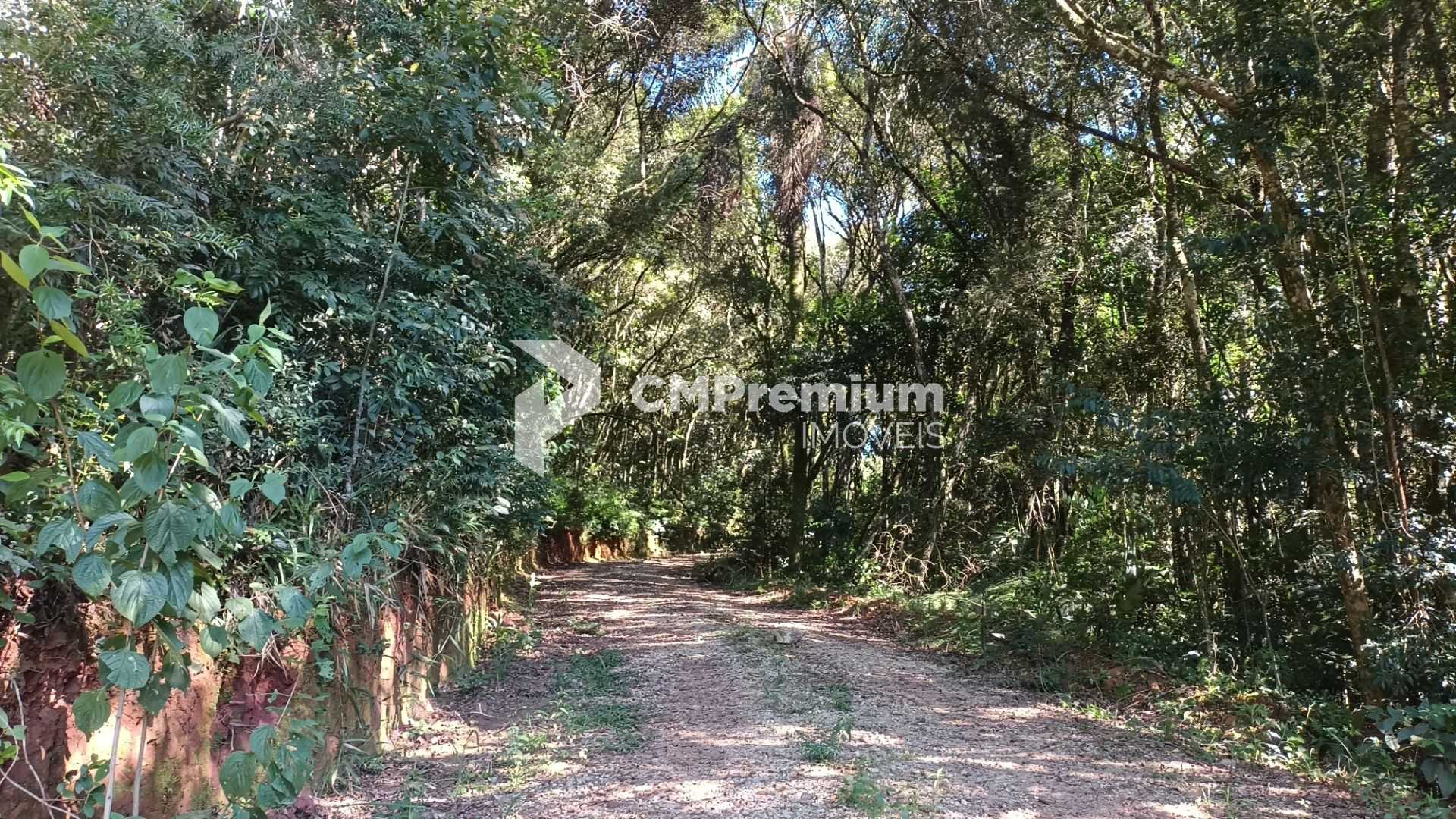 Chácara à Venda em Araucária  Terreno de 23.480 m  com Naturez...