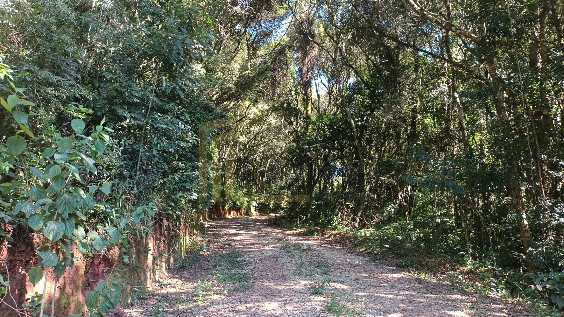 Chácara à Venda em Araucária  Terreno de 23.480 m  com Naturez...