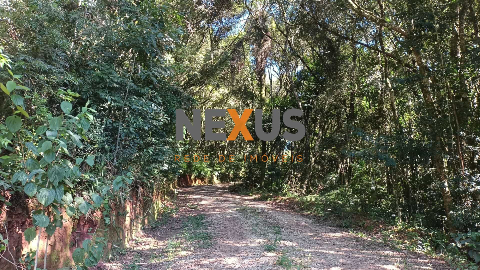 Chácara à Venda em Araucária  Terreno de 23.480 m  com Naturez...