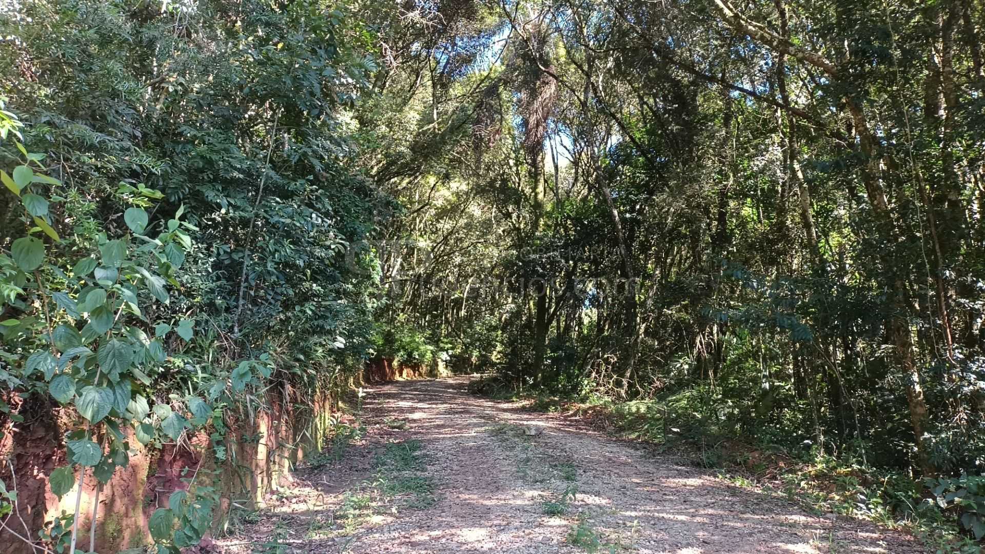Chácara à Venda em Araucária  Terreno de 23.480 m  com Naturez...