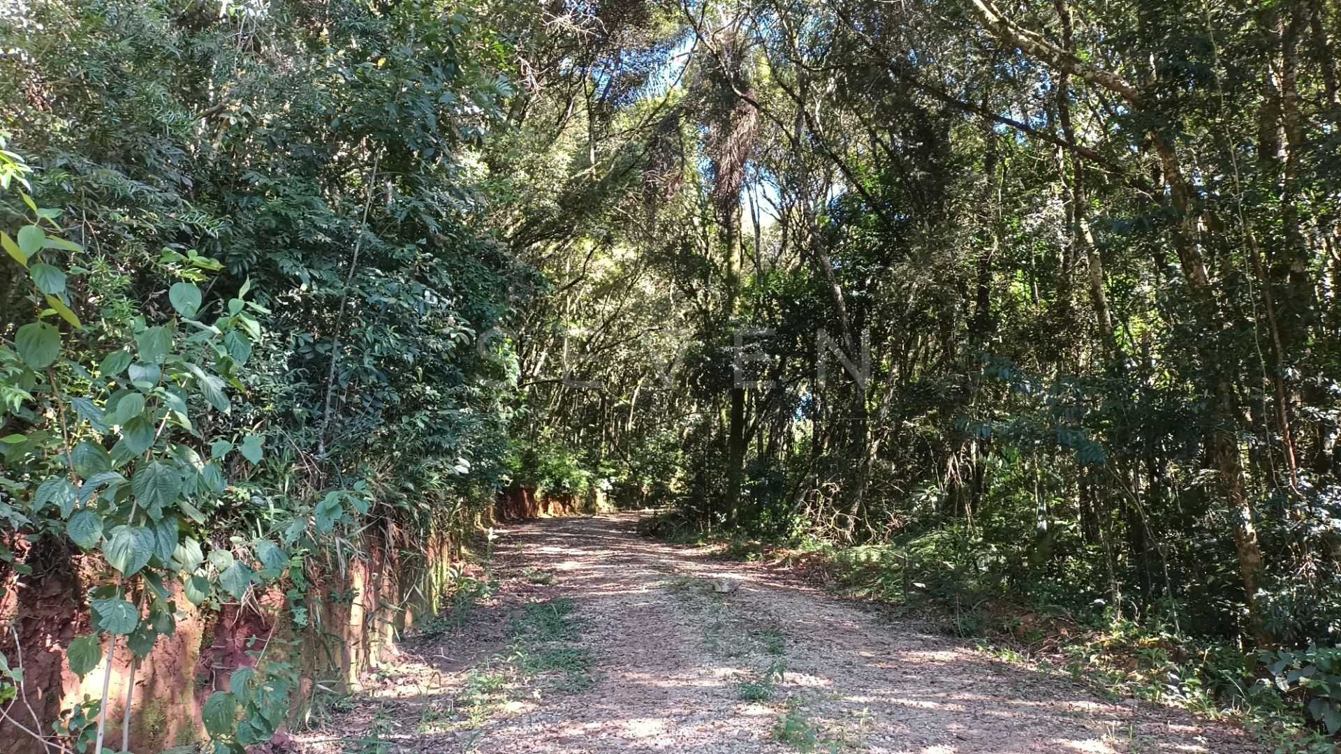 Chácara à Venda em Araucária  Terreno de 23.480 m  com Naturez...