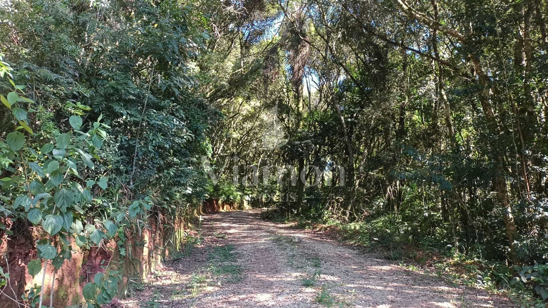 Chácara à Venda em Araucária  Terreno de 23.480 m  com Naturez...