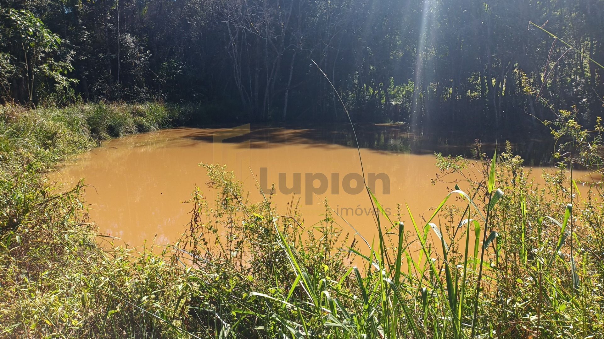 Chácara dos Sonhos em Araucária  24.300m  de Natureza e Tranqu...