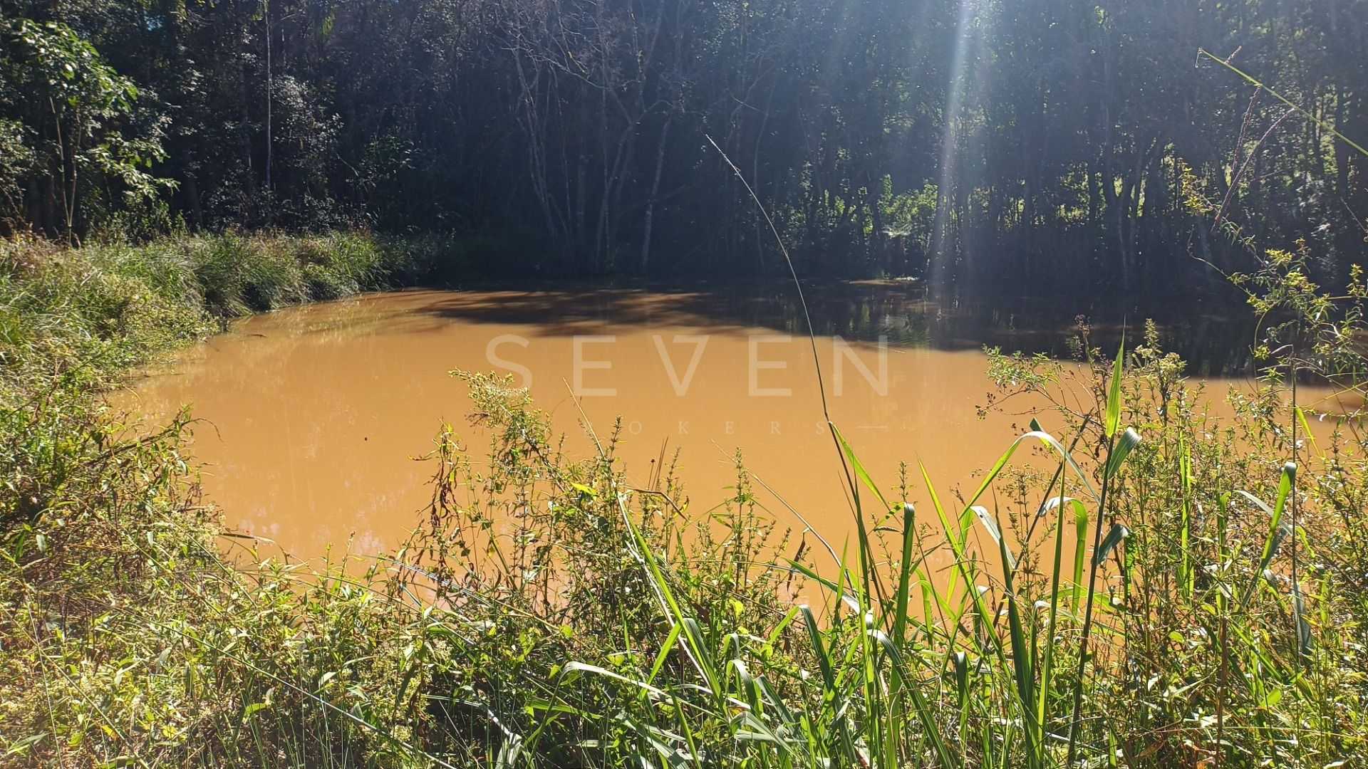 Chácara dos Sonhos em Araucária  24.300m  de Natureza e Tranqu...