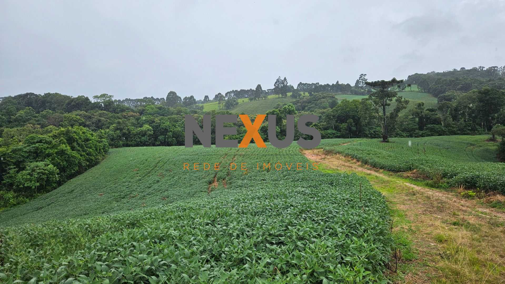 Área de 79.000 m  com 41.000 m  mecanizados  perfeita para cul...