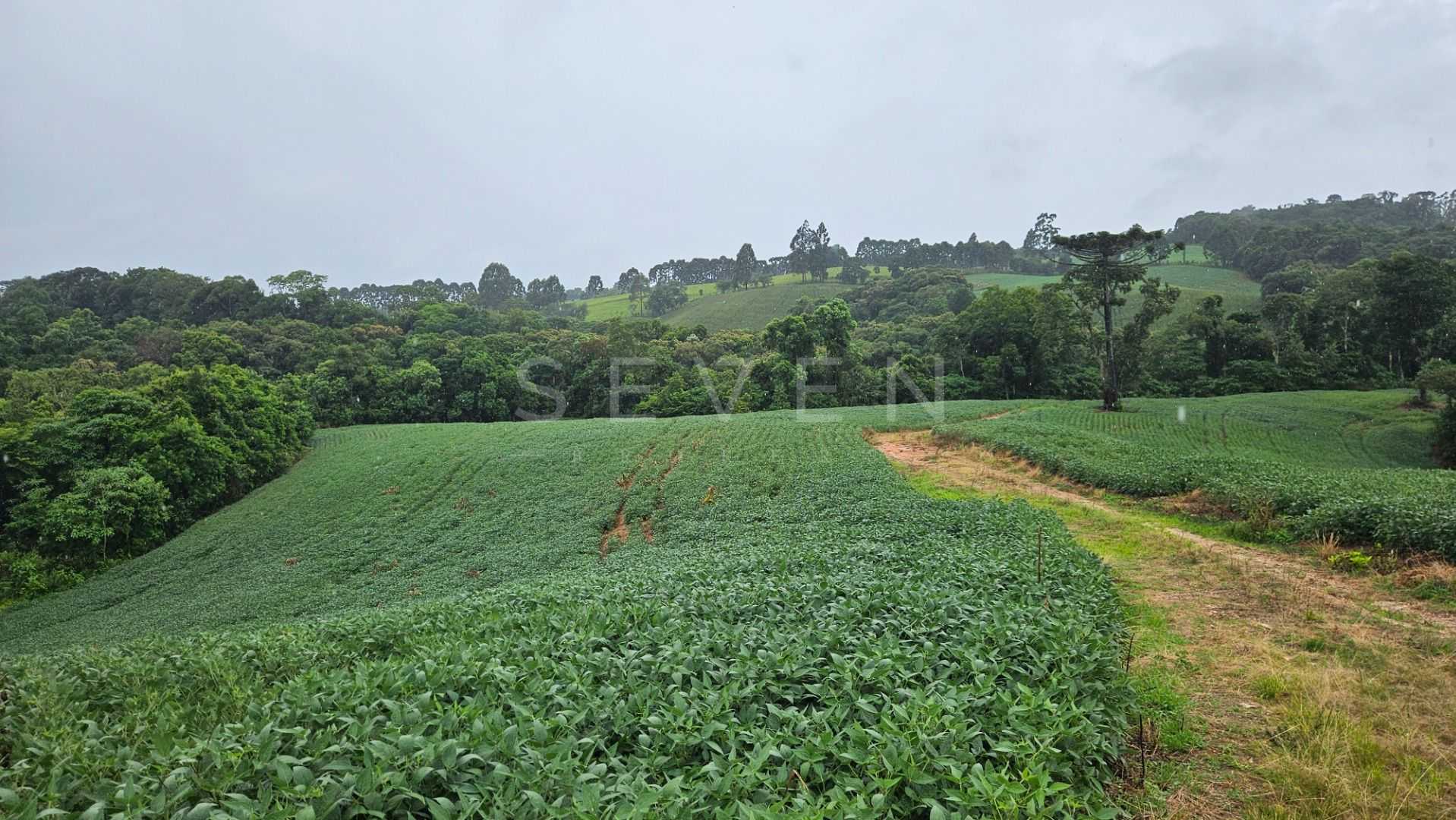 Área de 79.000 m  com 41.000 m  mecanizados  perfeita para cul...