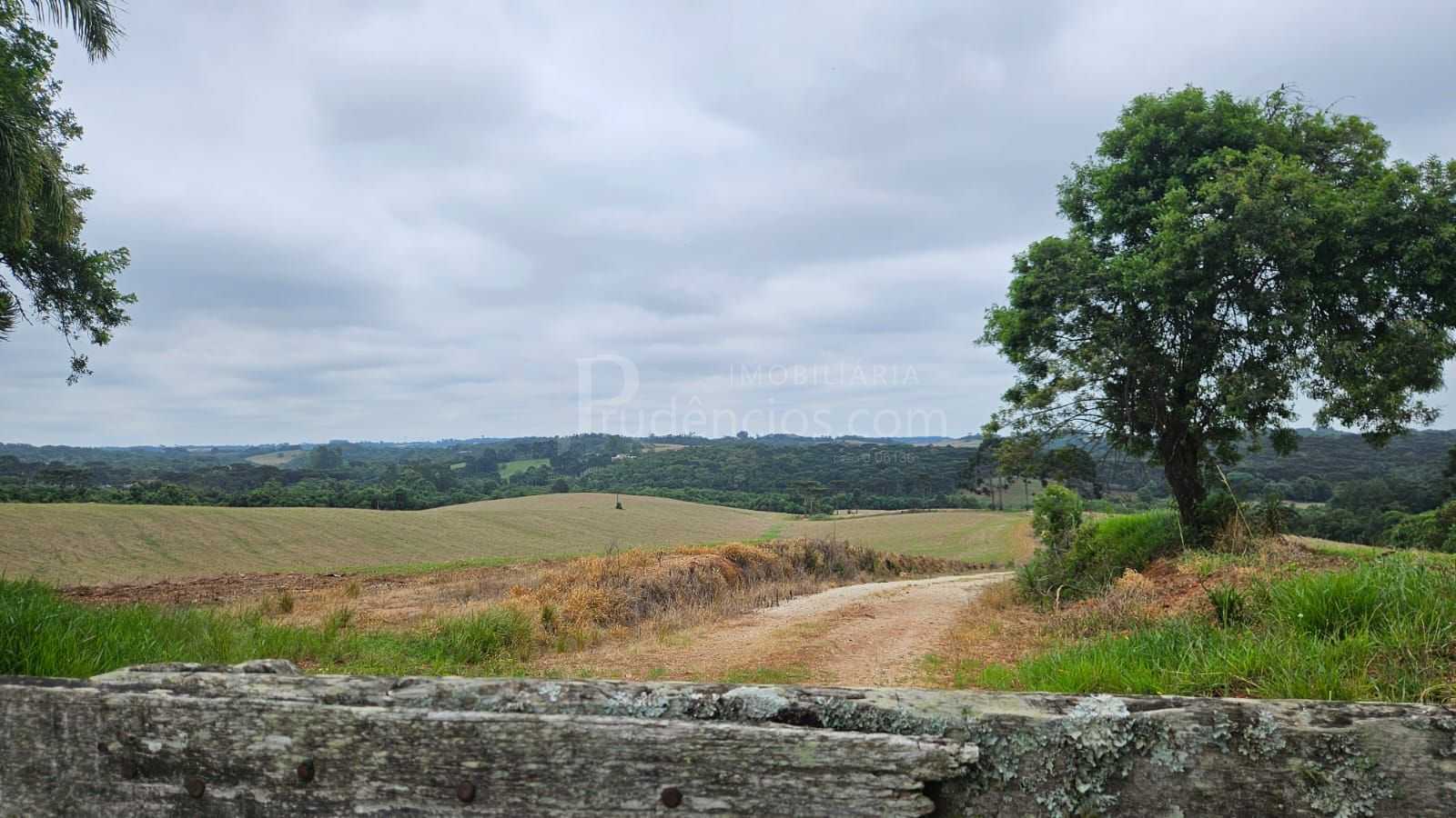 Fazenda com 70 alqueires, casa, rio e lago a 8 km da BR-476  A...