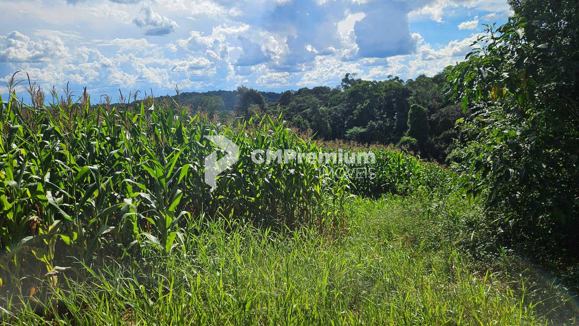 Área de 36.400m  para chácara com bosque e córrego em Catanduv...