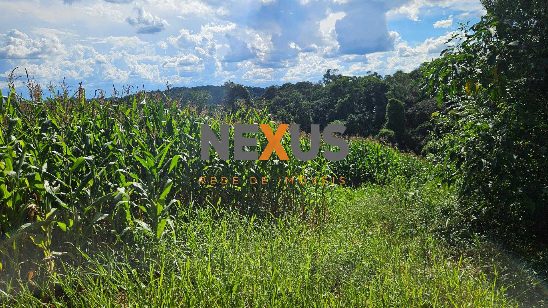Área de 36.400m  para chácara com bosque e córrego em Catanduv...