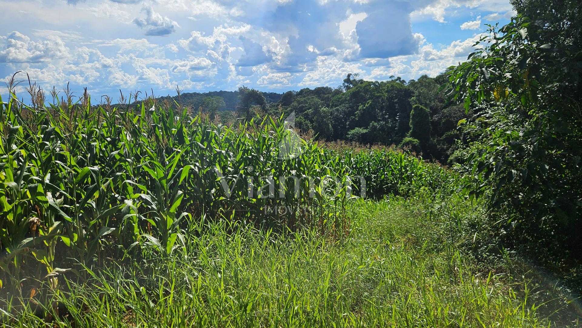 Área de 36.400m  para chácara com bosque e córrego em Catanduv...