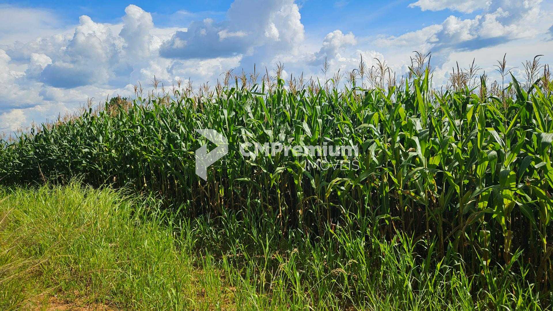 Área de 36.400m  para chácara com bosque e córrego em Catanduv...