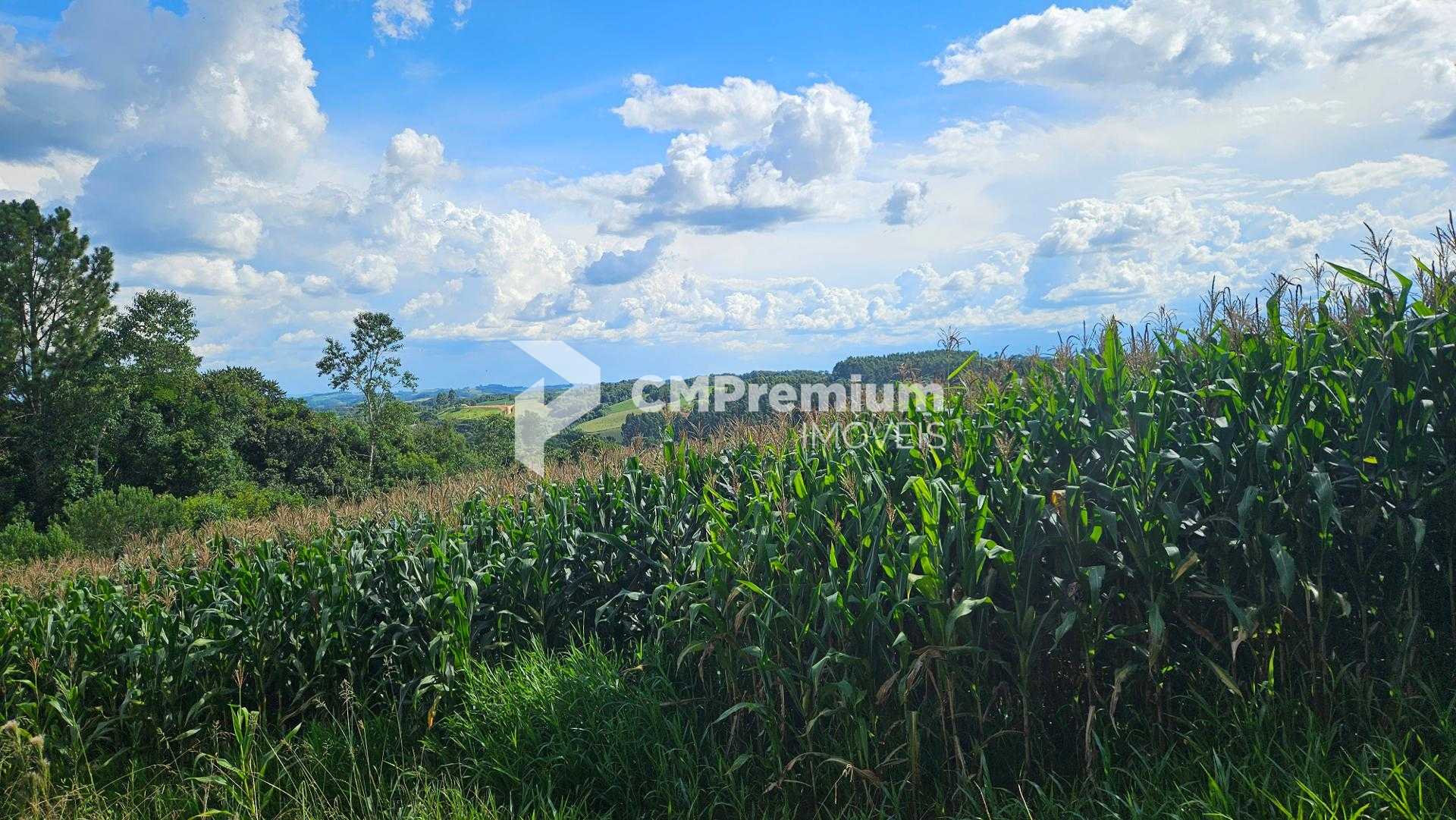 Área de 36.400m  para chácara com bosque e córrego em Catanduv...