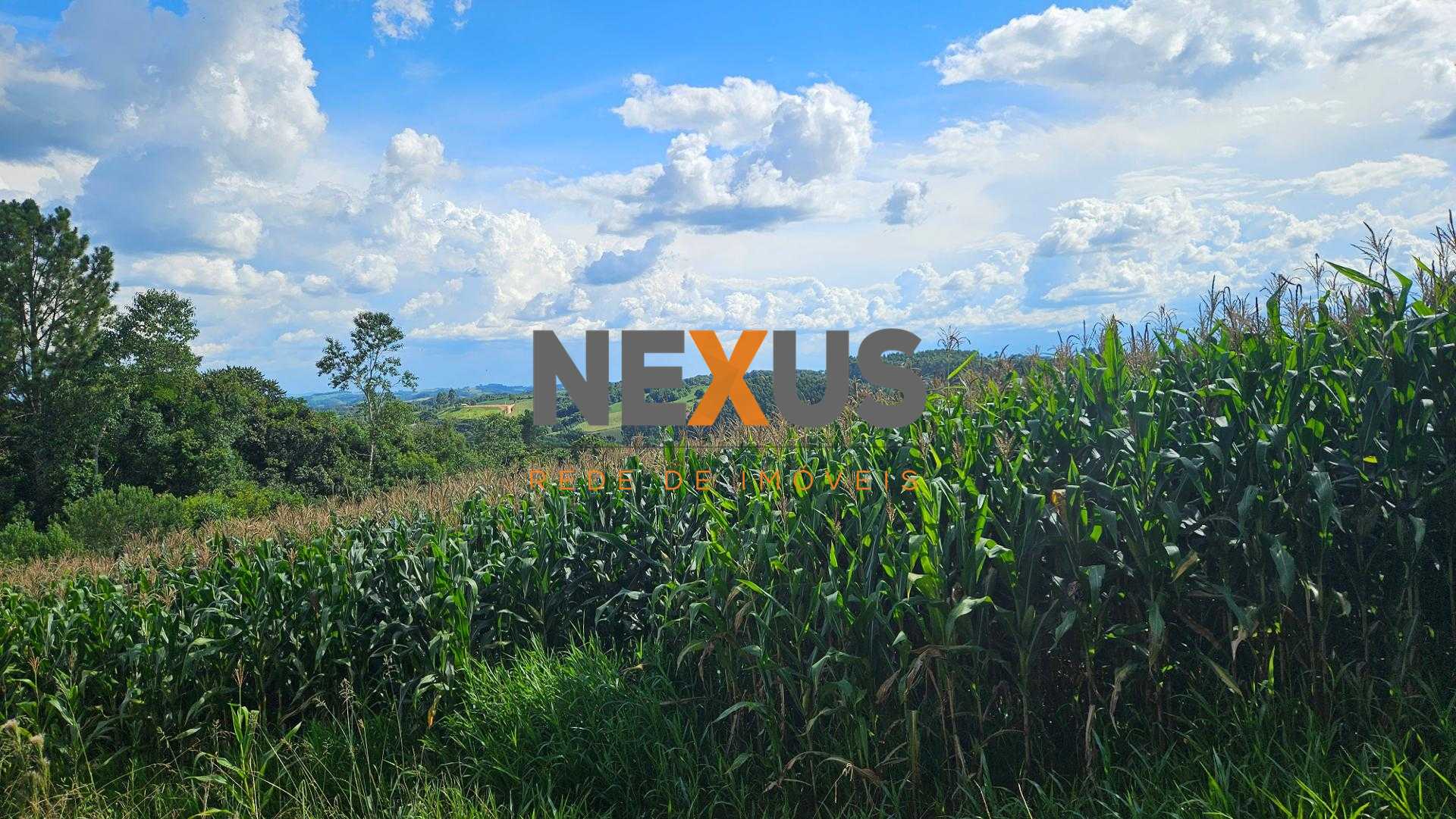 Área de 36.400m  para chácara com bosque e córrego em Catanduv...