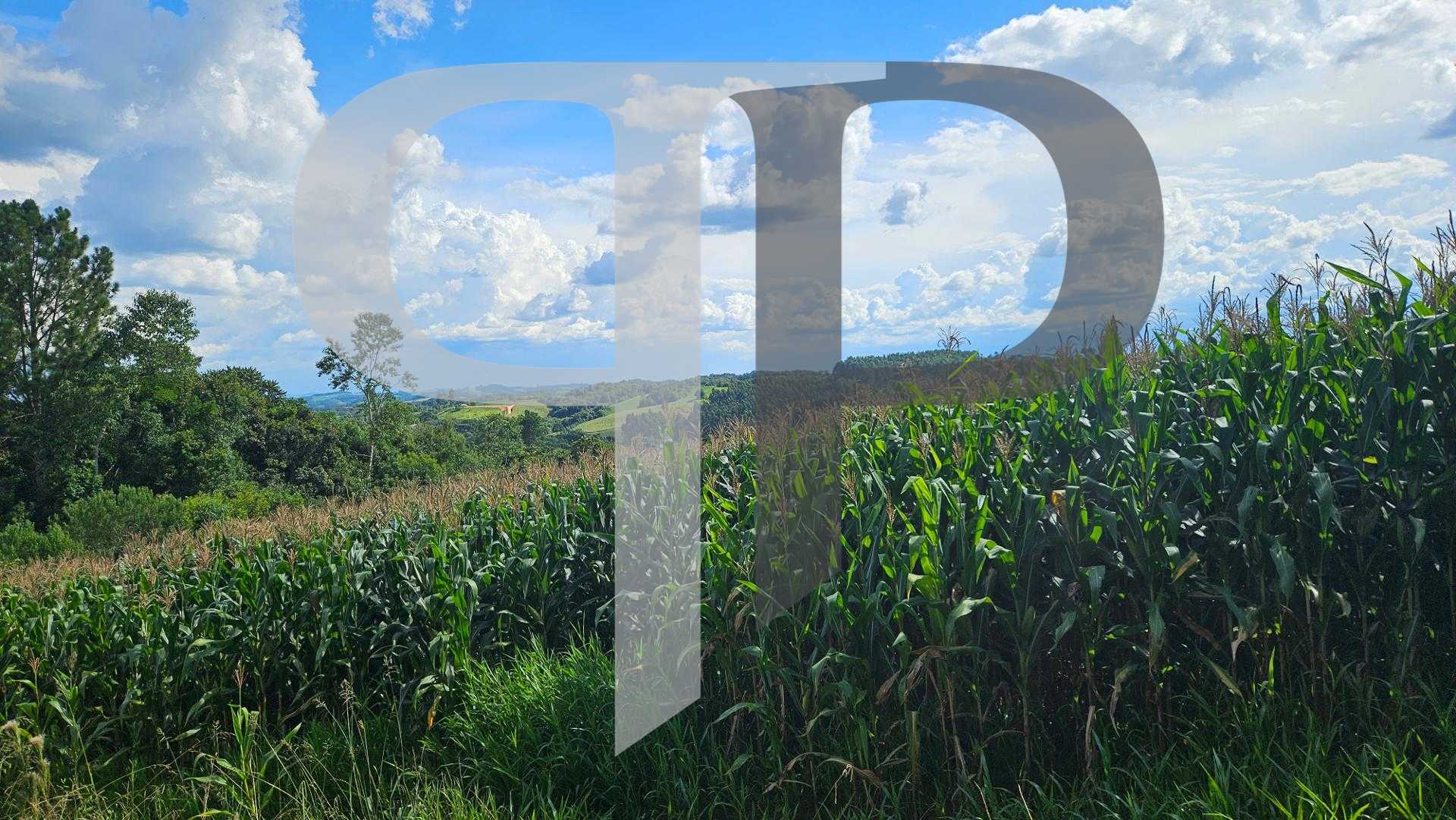 Área de 36.400m  para chácara com bosque e córrego em Catanduv...