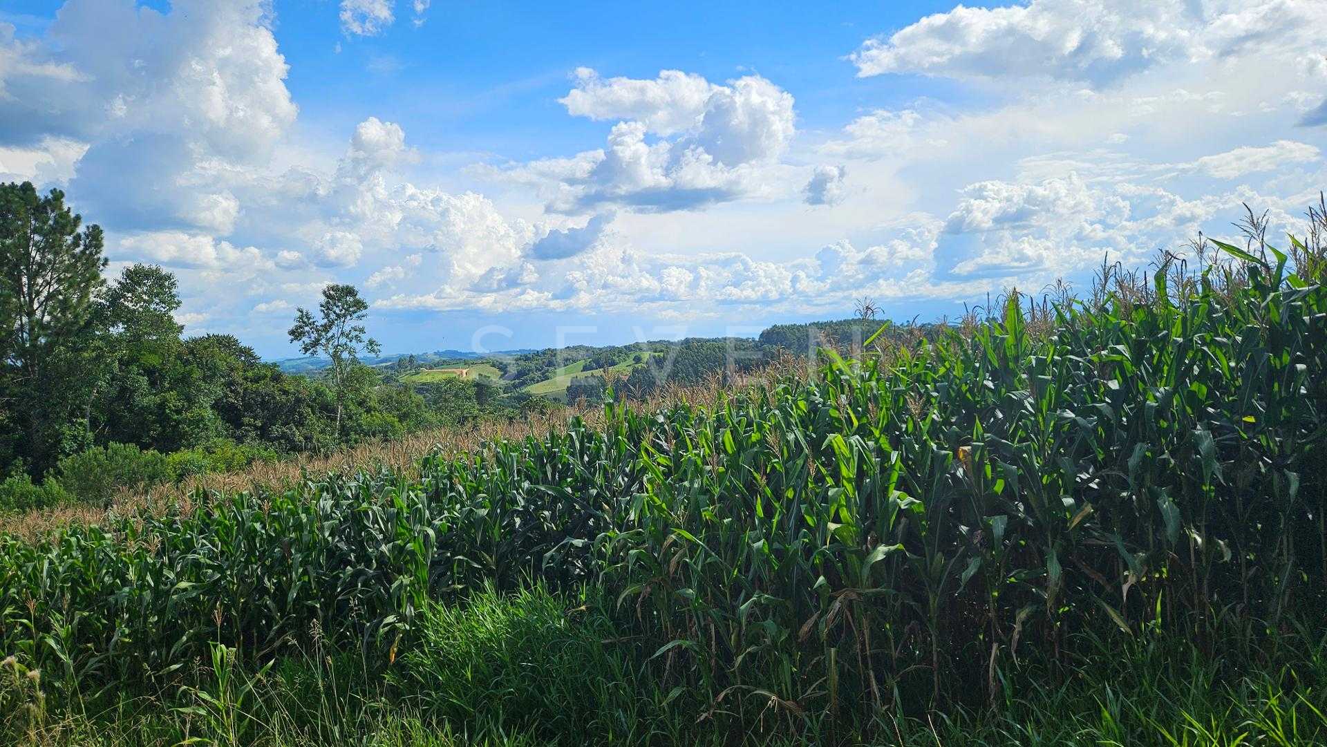 Área de 36.400m  para chácara com bosque e córrego em Catanduv...